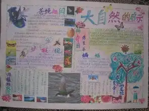 大自然的启示手抄报可以写哪些内容