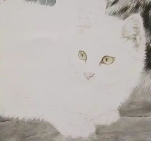 书画联盟丨工笔猫技法详解