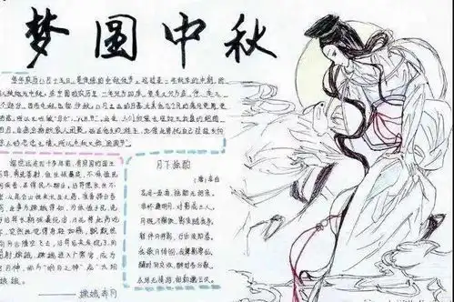 搜狐网