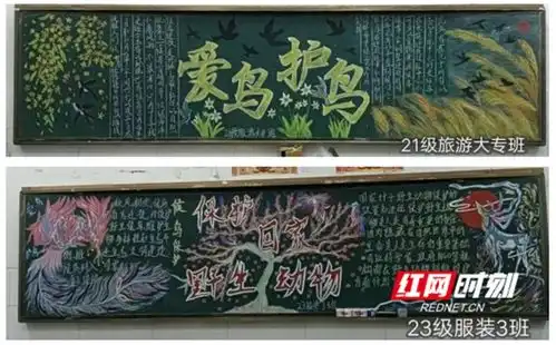 永州工商职业中专开展爱鸟护鸟系列活动