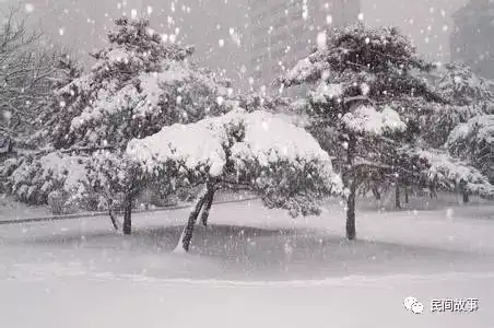 雪厚三尺我嫁你结婚这条件,你接受吗