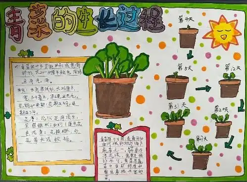 陕西师范大学附属小学与小梧小桐共探一个科学世界