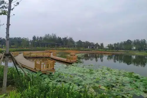 又增一新打卡地,大兴安南湿地环保主题公园十一开园