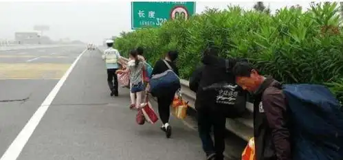 高速上撞死突然冲出的行人,需要负责吗交警是这样给出回应的