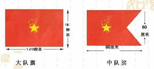 新密市实验小学你好,少先队系列课程队前教育篇