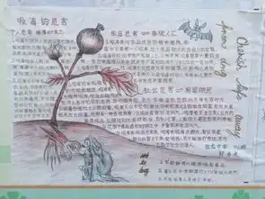 云龙镇举行2017禁毒征文暨禁毒手抄报比赛颁奖活动