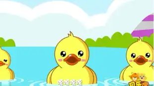 大家都会唱的儿歌数鸭子作曲者竟是陈赫舅舅