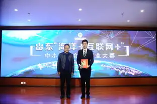 打造海洋科技创新创业平台山东海洋互联网创新创业大赛总决赛举行