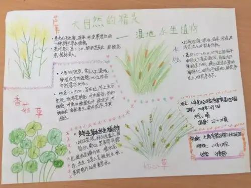 走进湿地你我同行