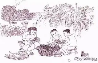 锐评由端午节屈原,忆及影视圈大小阴阳合同