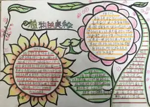 建平临港小学科技节之神奇的水力量