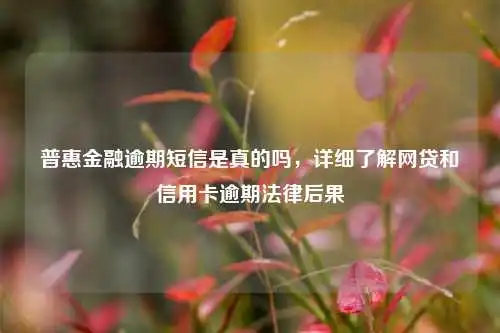 普惠金融逾期短信是真的吗,详细了解网贷和信用卡逾期法律后果