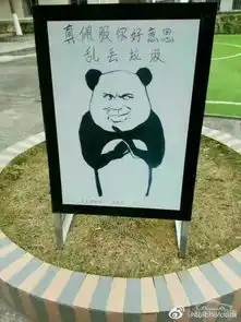 内涵图女子关掉街头监控,竟是为了做这种事