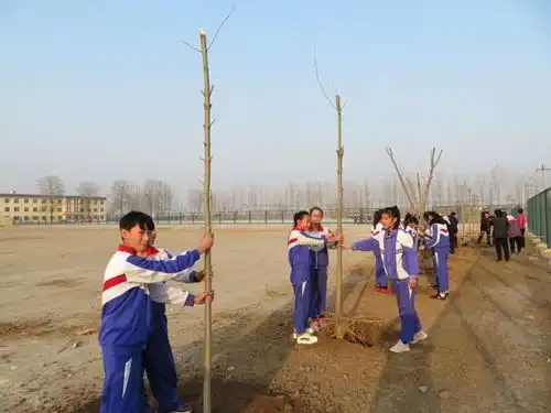 春在枝头已十分滨州洋湖乡中学开展丰富多彩的学雷锋活动