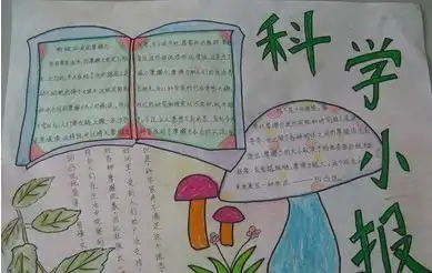 二年级科学手抄报内容