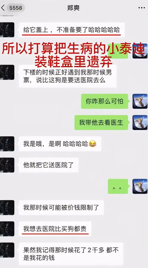 郑爽狠心扔病狗却争要孩子张翰曾带狗看病,胡彦斌写歌留下狗