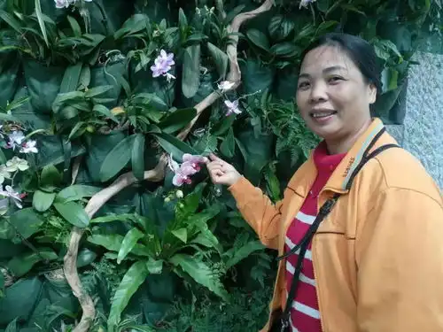 一封给妈妈的情书母亲节