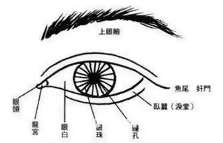 玄灵阁八大败相与出生月份有关系