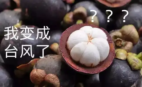 倚楼听山竹,9月技术移民咨询集锦