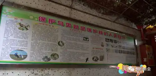 央视再次聚焦江门这次关注的是...