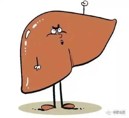 剂量不对,疗效跑偏精准发挥柴胡功效,这3种剂量必须掌握