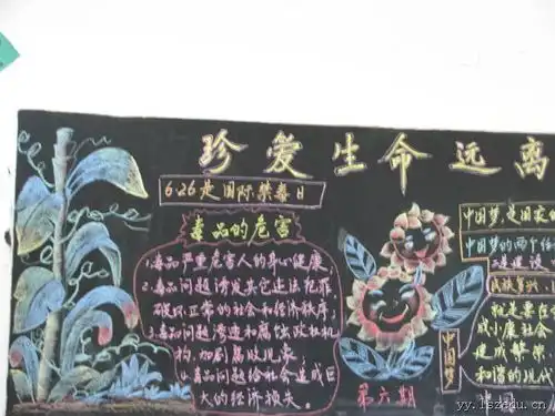 禁毒手抄报标题名称四字