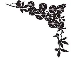 黑板报花边百花争艳