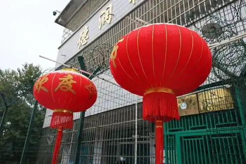 搜狐网