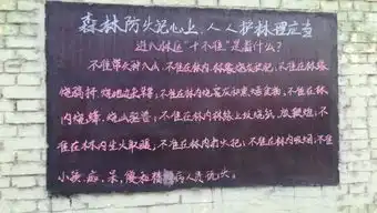 森林防火人人有责