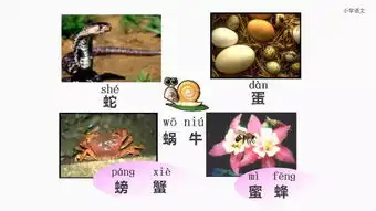 一年级下册人教版识字5动物儿歌讲解