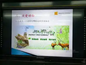 青年之声美兰团讯2018美兰区爱护动物保护湿地保护生态主题宣讲走进龙岐小学