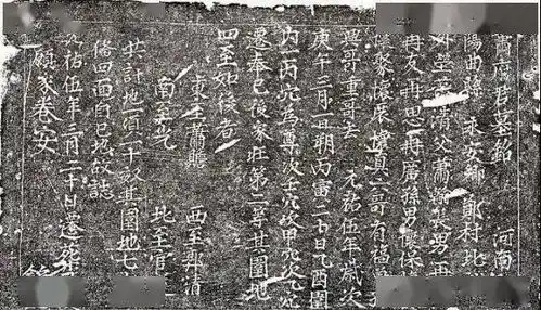 今日大小事忻州中小学课后服务是否收费官方回复