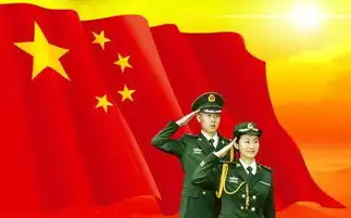 央视网向国旗敬礼为什么提交不成功