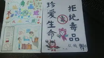 禁毒手抄报内容