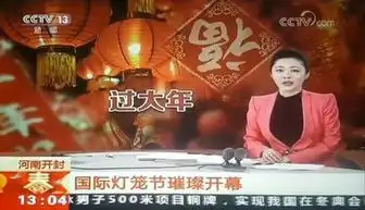 清明上河园首届国际灯笼节到底有多美引得央视新闻联播来报道组图