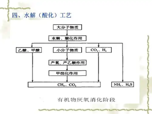 新型生物处理技术活性污泥法